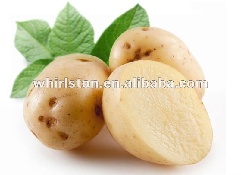 multifunctional small automatic potato washing peeling cutting machine/chips machine
