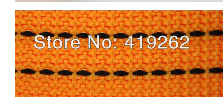 81