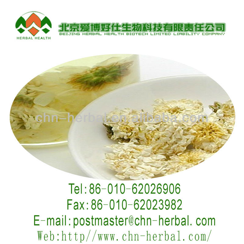 kakoo extract flower chamomiler tea extract organic chamomiler tea extract green chamomiler tea