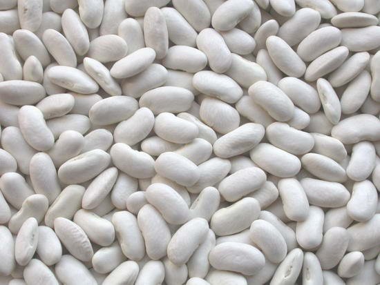 Light Red Bean