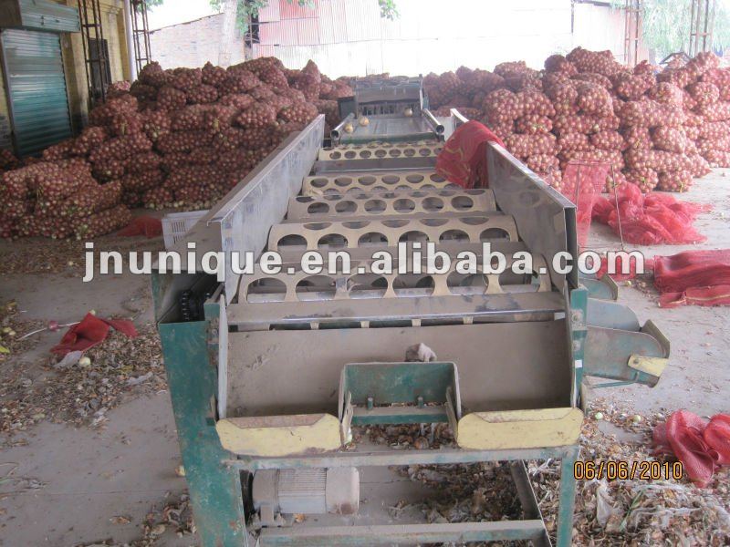 2012 fresh round yellow red onion hot sale