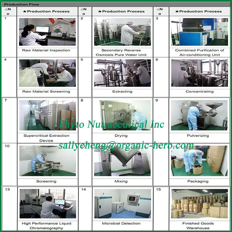 Green Tea Powder Extract