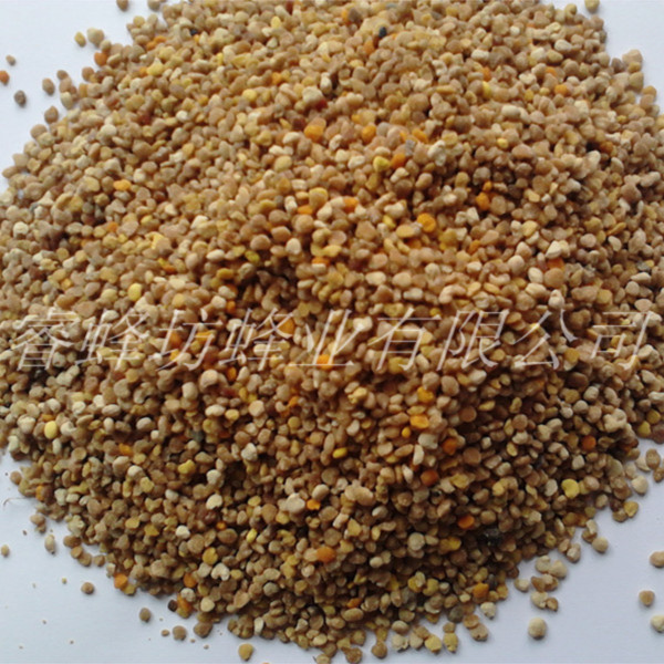 bottom price bulk Dangshen bee pollen