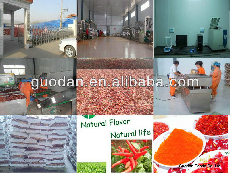 2014 export chilli paste/oleoresin