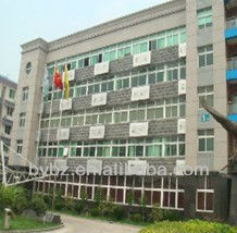 Shanghai Advanced High Speed Automatic Lollipop/Candy Pillow Packing Machine