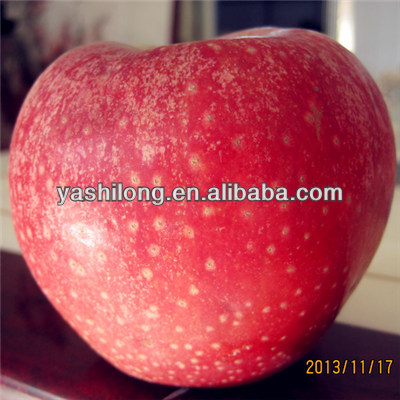 The best quality of frozen fruit in red color and tastes sweet from China