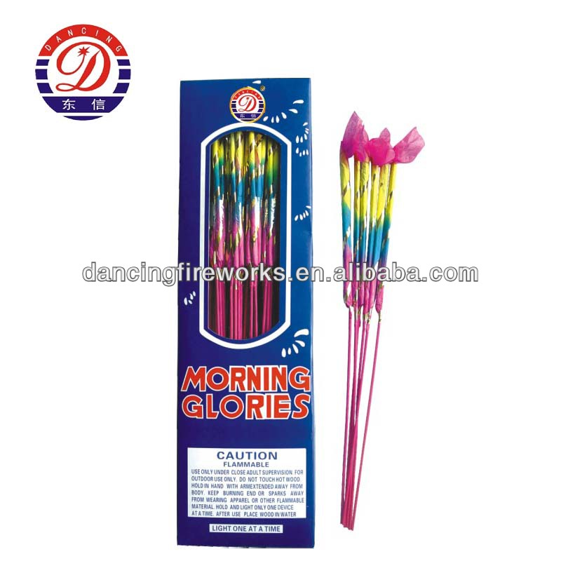DSK0981 morning glory.jpg