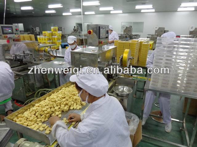 Chicken bouillon cube 4g/10g halal