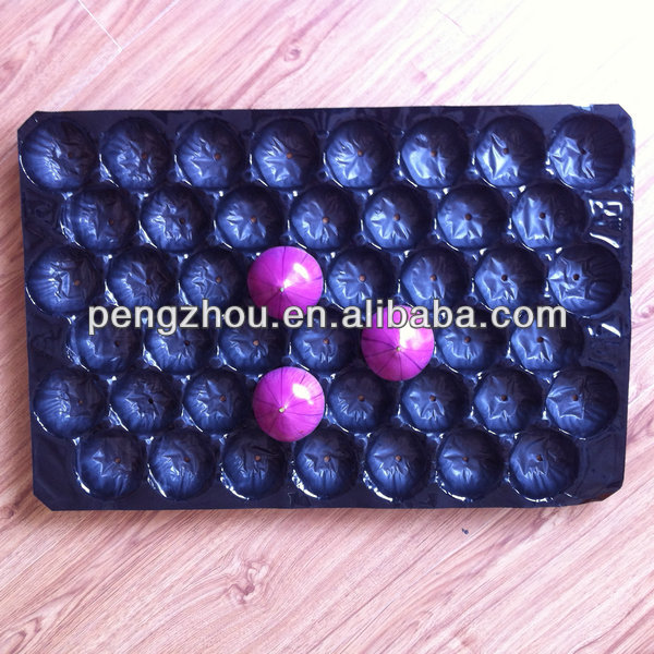 fruit Nested Plastic Tray