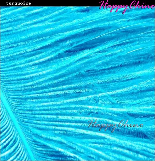 feather turquoise