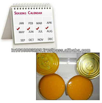 alphonso mango pulp price