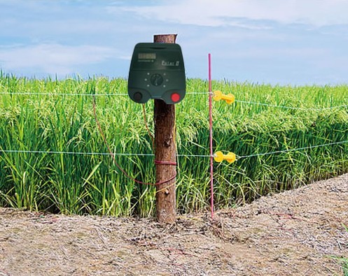 ELECTRIC FENCE KITS AMP; ELECTRIC FENCING SUPPLIES