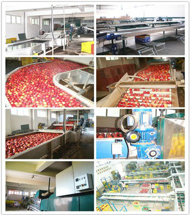 good quality fresh red delicous sweet crispy nutritive Tianshui huaniu apple