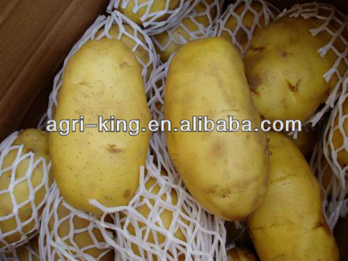 chinese new frozen potato chips for sale 2014