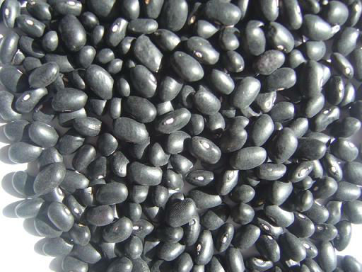 black bean with green inside