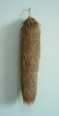 fox tail 1227-24.jpg