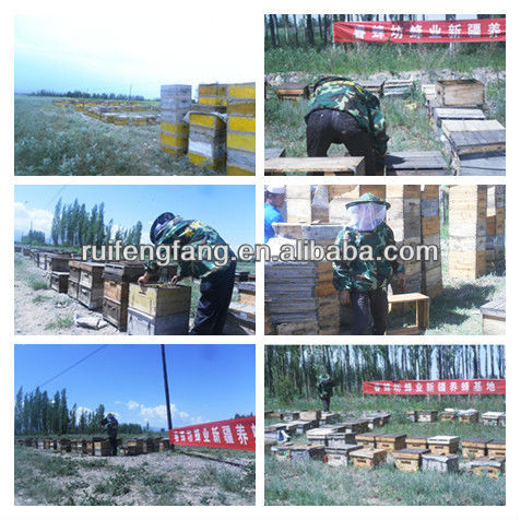 red propolis /bee propolis softgel