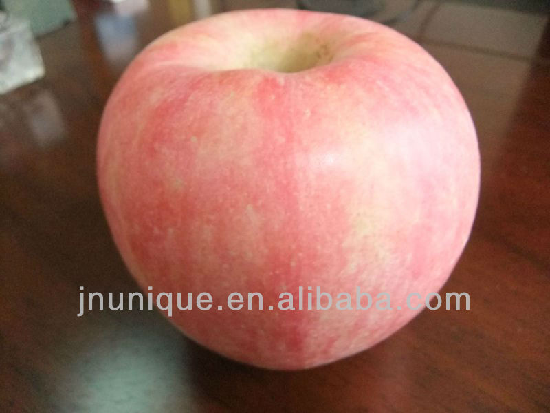 bulk apples,fresh apple fruit for sale