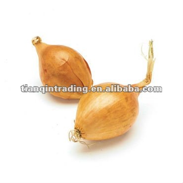 red onion exporter