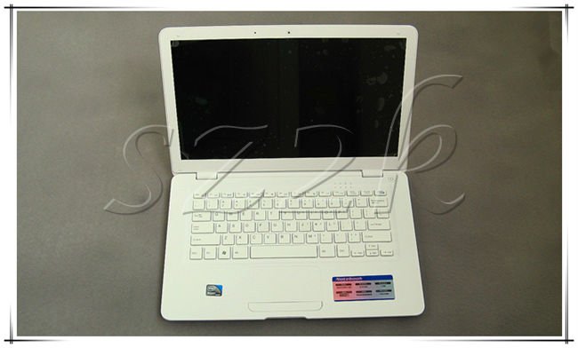 Hot Selling 14 Inch Mini Laptop with Intel Atom D425/D25001.80Ghz +2GB ROM+320GB HDD+HDMI+1.3M Camera+Flash 11.1 supported