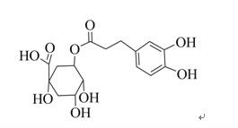 Green Coffee Bean Extract powder /Pure green coffee bean extract( with 10%~98% Chlorogenic Acid )