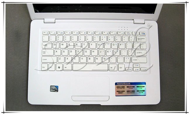 Hot Selling 14 Inch Mini Laptop with Intel Atom D425/D25001.80Ghz +2GB ROM+320GB HDD+HDMI+1.3M Camera+Flash 11.1 supported