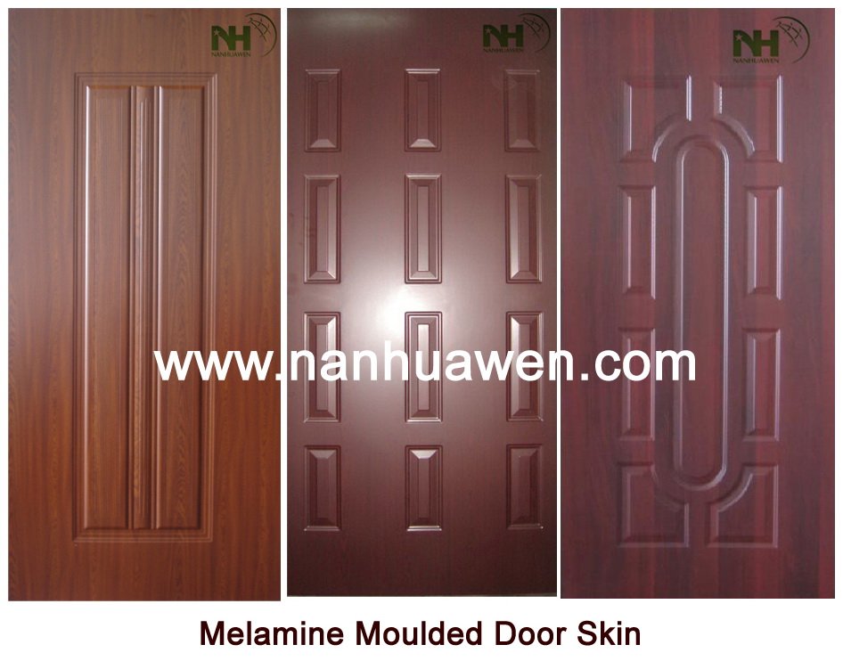 door skin designs