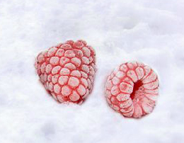 Frozen Raspberry