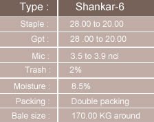 Shanker-6インドの未加工綿問屋・仕入れ・卸・卸売り