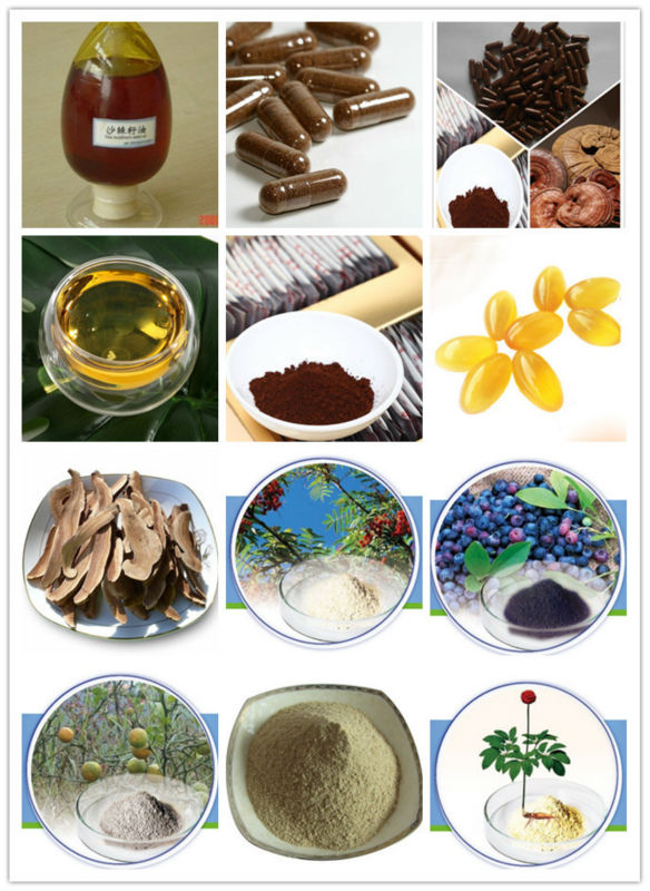 Ginseng Powder For Ginseng Drink 80-300 mesh