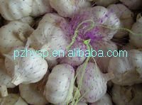 Garlic price from China (the mostcompetitive price)
