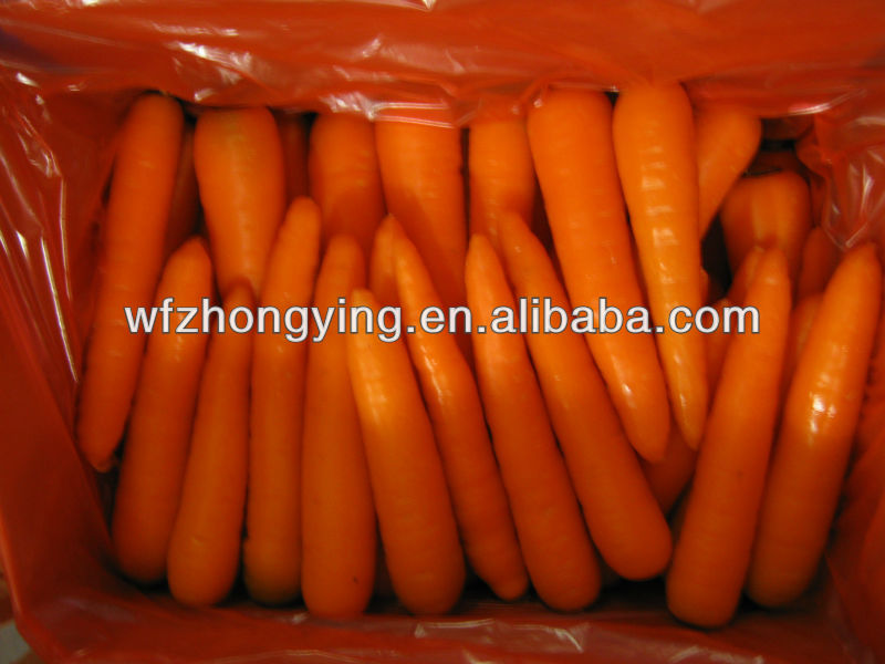 carrot,fresh carrot processing black carrot juice concentrate with good quality from china