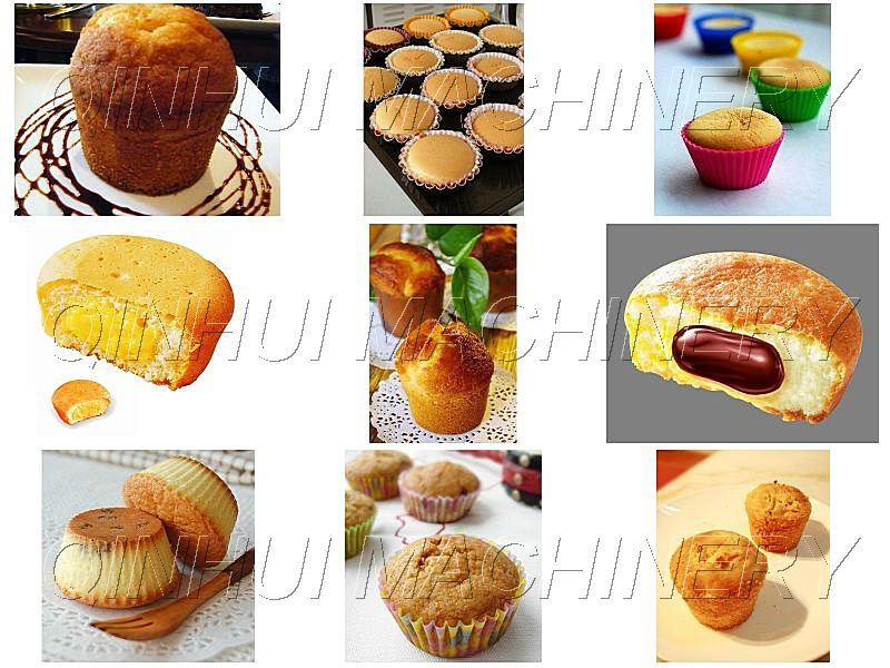 Complete Full Automatic Cake Plant