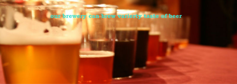 7bbl microbrewery equipment and pub brewery equipment from 2hl to 50hl beer/brew