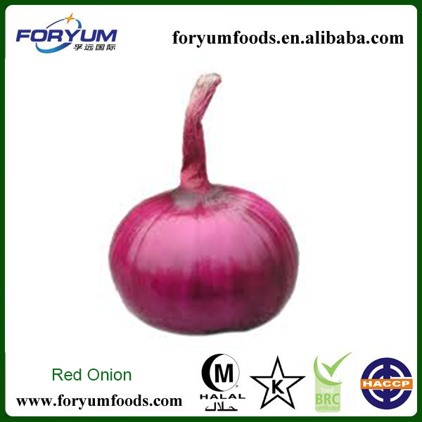 Fresh Red Onion Price