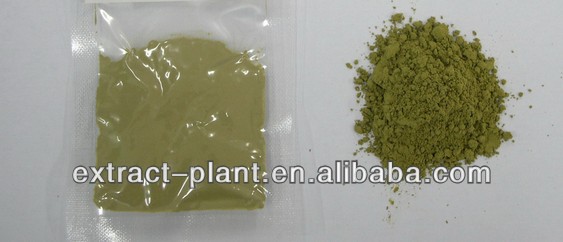 instant oolong tea extract powder from China