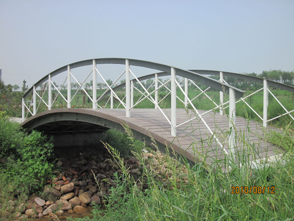 201010171045396349.jpg
