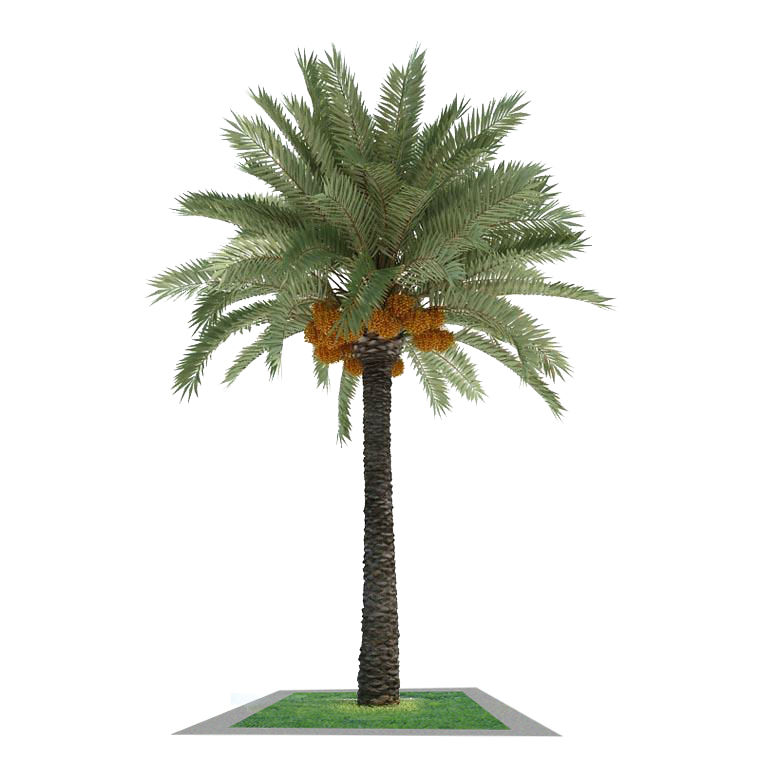 top 28 wholesale lighted palm trees pin fake plastic top 28 wholesale lighted palm trees pin fake plastic