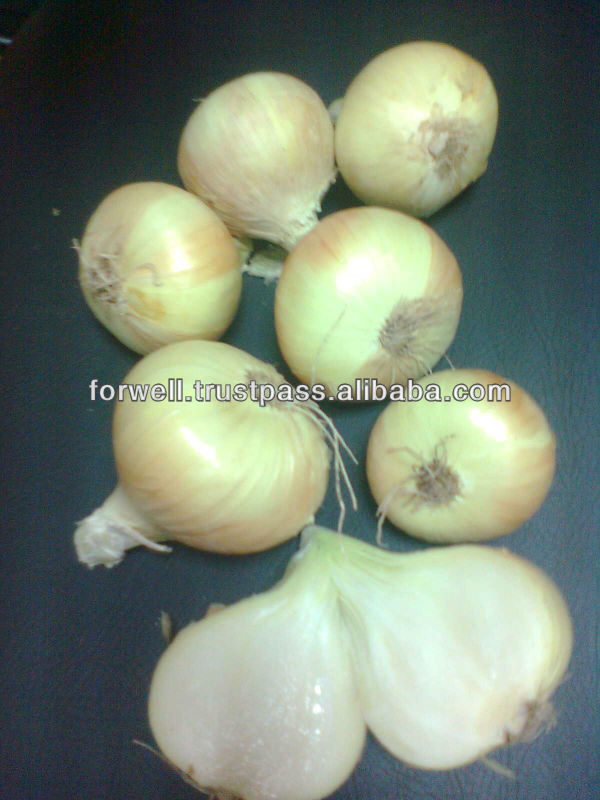 Yellow Onion with all sizes