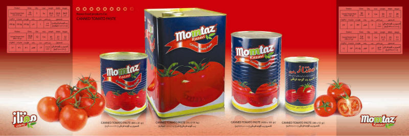 canned tomato paste 380gr