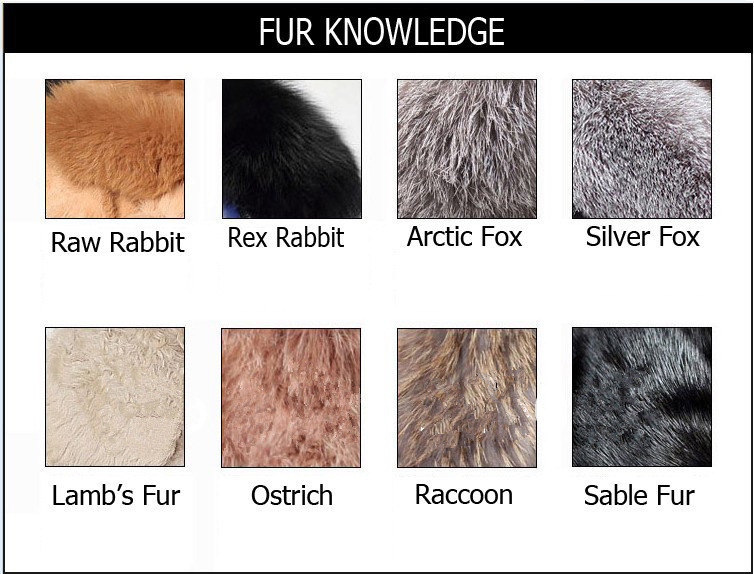 fur knowledge_.jpg