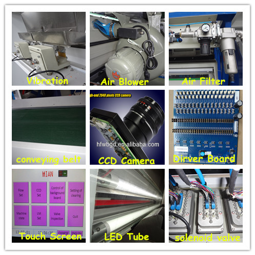 2014 the newest garlic color sorter for india garlic,new technology,competitive price