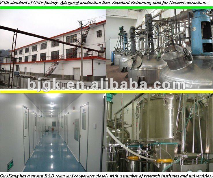 Green Tea P.E.30%-98% Polyphenols, For Medicine Use