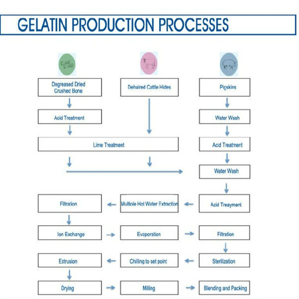 edible gelatin for marshmallow,China TING KAI price supplier 21food