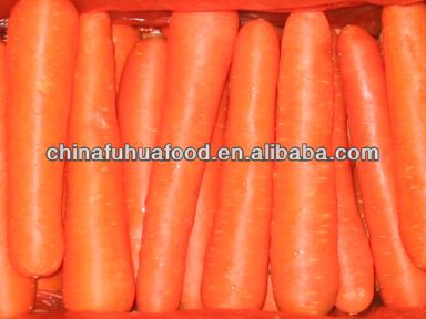 Fresh Carrot