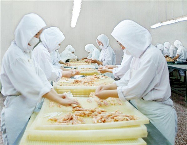 乾燥鶏により絡まったマンボウドライペットフード仕入れ・メーカー・工場