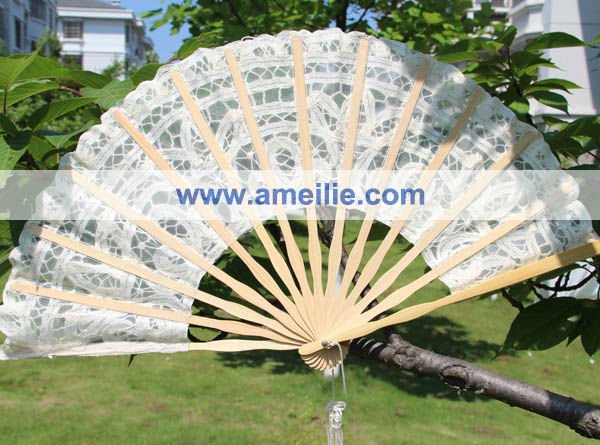 A-Fan057a.jpg