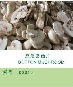 Agaricus bisporus mushroom and champignon and canned agaricus bisporus