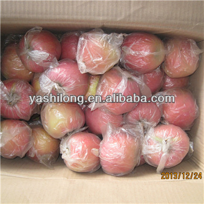 offer red hightest quality of apple fruit with the best price to fruit agents from China