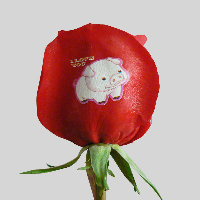 マルチ- 機能デジタル赤いバラの花のプリンタ白インク仕入れ・メーカー・工場